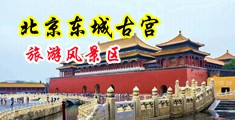 操美女电影在线观看中国北京-东城古宫旅游风景区